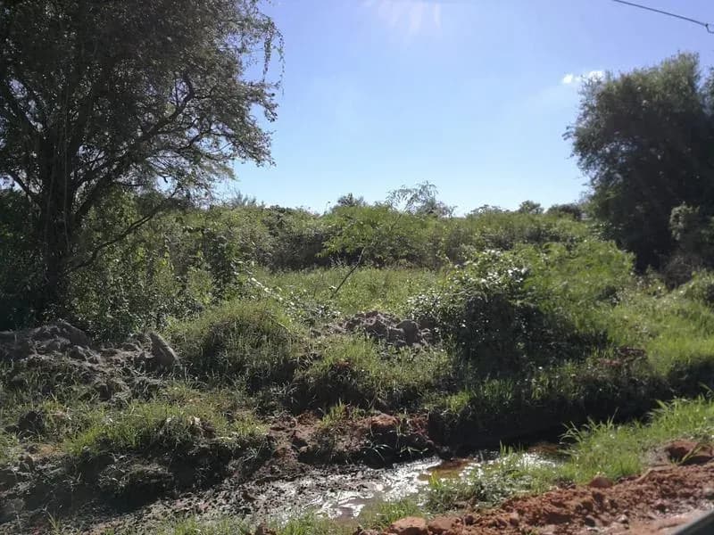 Terreno de 6.63m² en Venta en Limpio - Image 3