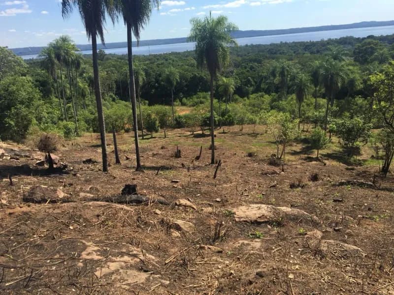 Terreno de 15.634m² à Venda em San Bernardino - Image 2