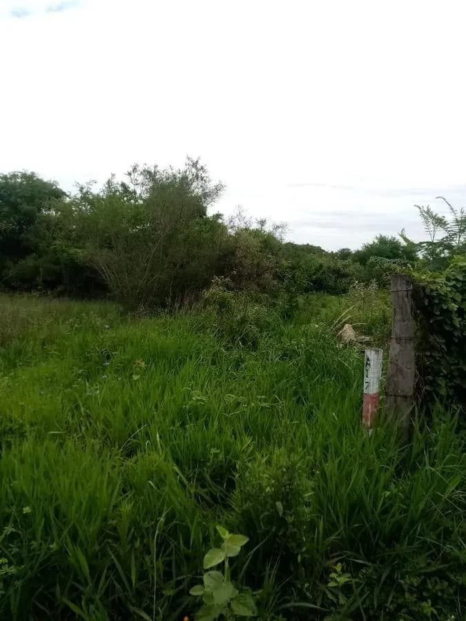 1,092m² Land for Sale in Surubi´i, Mariano Roque Alonso - Image 1