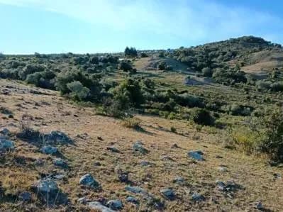 Terreno de 60,000m² en Venta en El Edén, Edén - Image 5