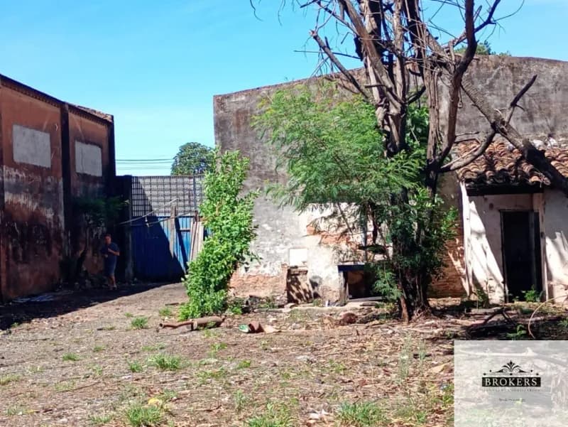 Depósito de 360m² para Alugar em San Pablo, Fernando de la Mora - Image 5