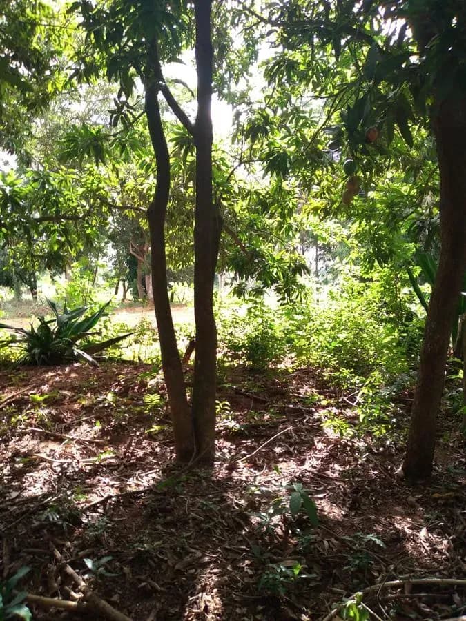 Terreno de 1,997m² en Venta en Ypacaraí