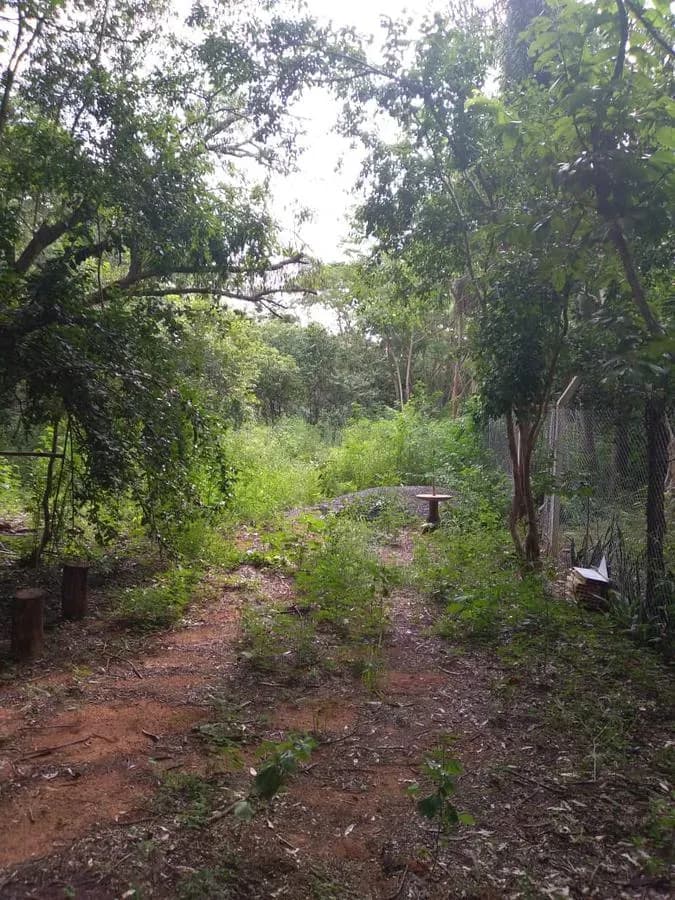 Terreno de 1,997m² en Venta en Ypacaraí - Image 19