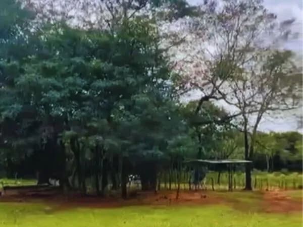 Terreno de 500,000m² en Venta en Paso Jhu, Piribebuy - Image 2