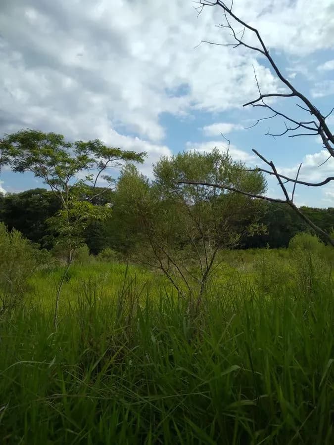 Terreno de 1,997m² en Venta en Ypacaraí - Image 13