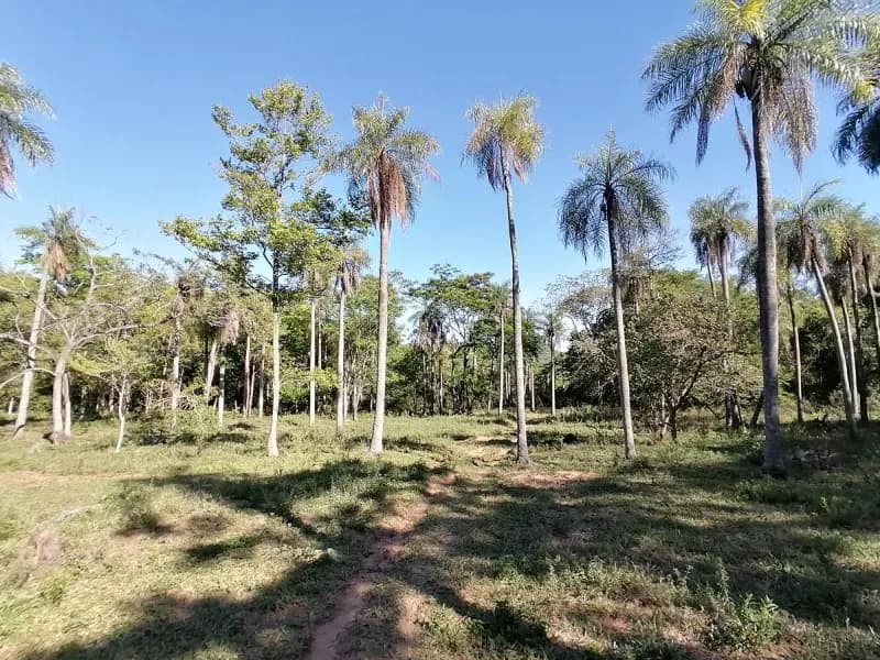 Land for Sale in Caacupé - Image 3