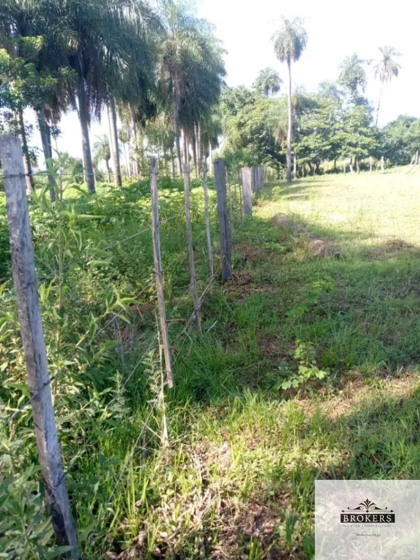 100,000m² Land for Sale in Ypacaraí - Image 15
