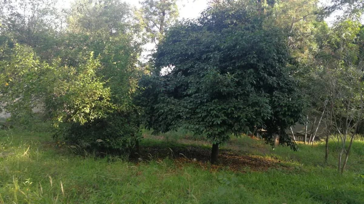 Terreno de 1,260m² en Venta en Kennedy, Lambaré