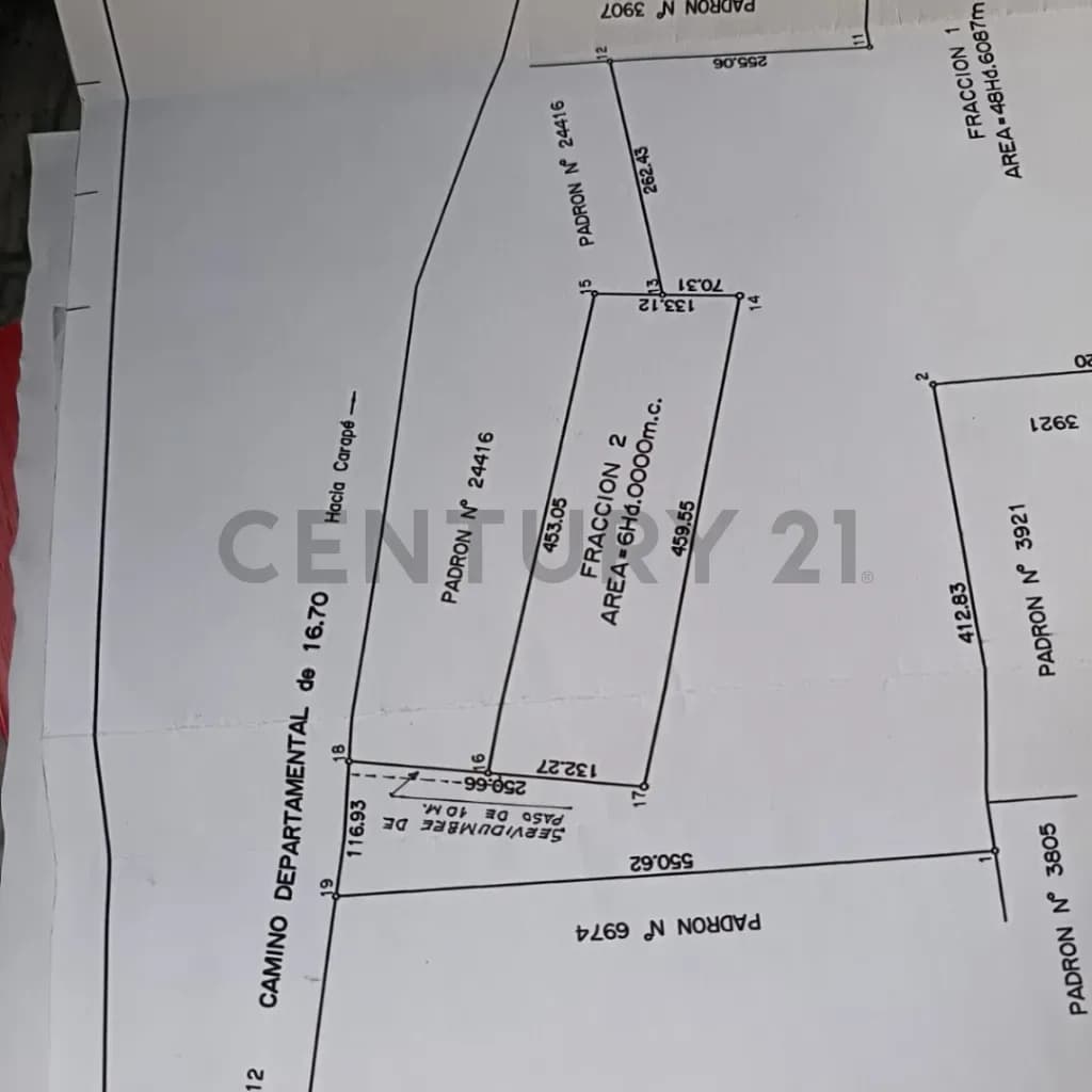 Terreno de 60,000m² en Venta en El Edén, Edén - Image 6