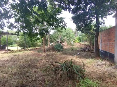 Listing by Letizia Franco