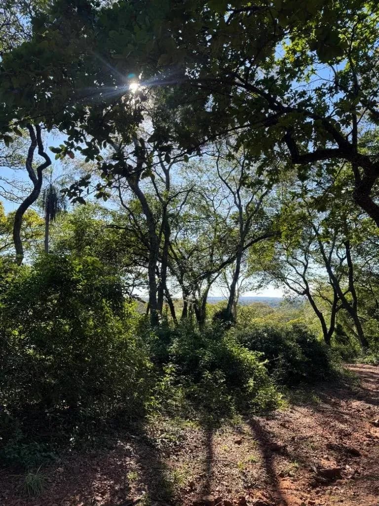 Terreno de 701.76m² en Venta en San Miguel, Areguá