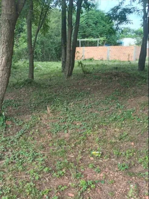 Terreno de 720m² en Venta en Limpio - Image 3
