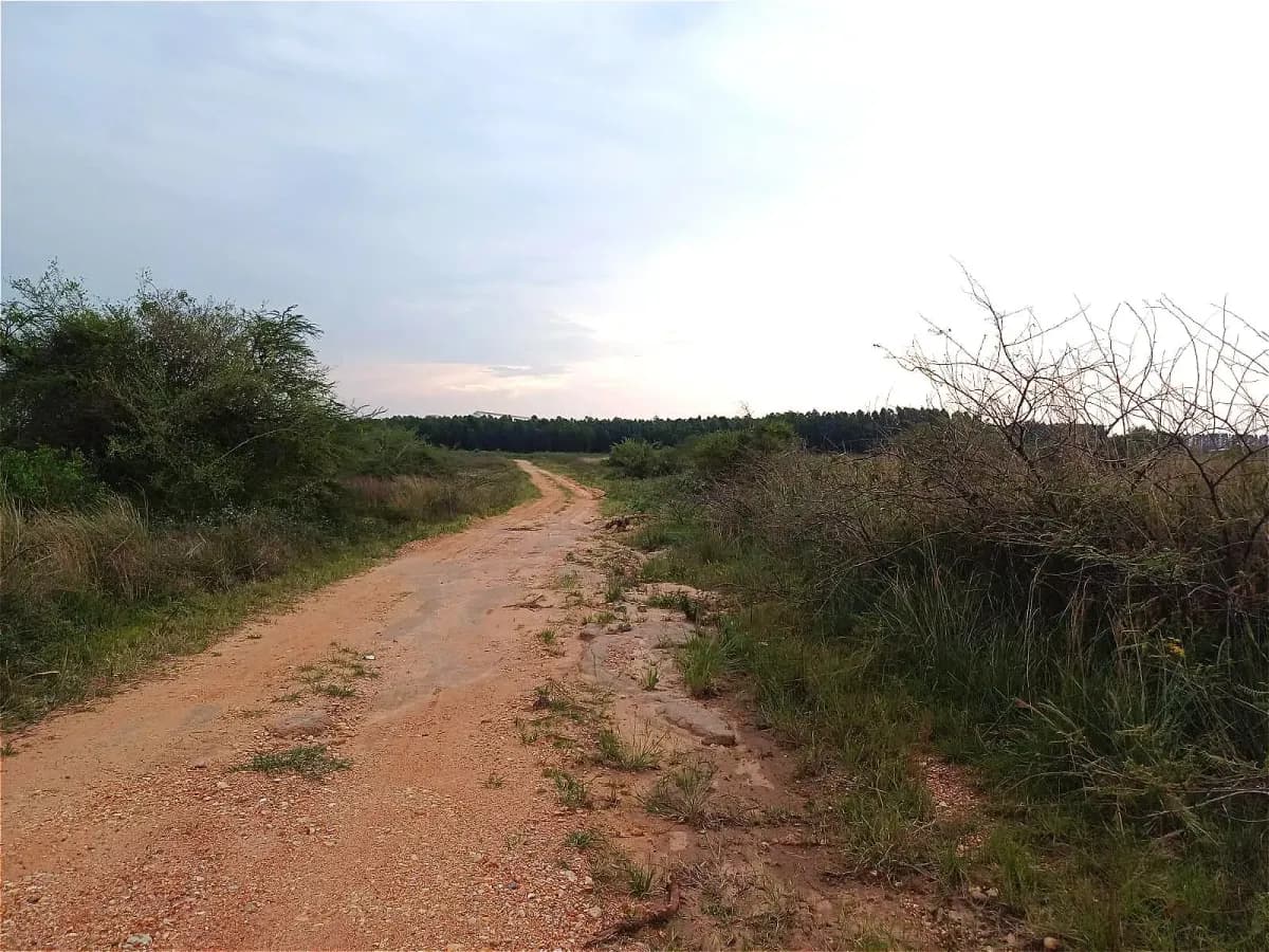 Terreno en Venta en Nanawa - Image 13