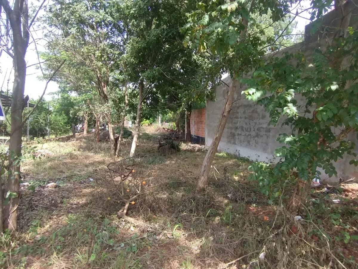 471.53m² Lot for Sale in Cañada San Rafael, Luque - Image 2