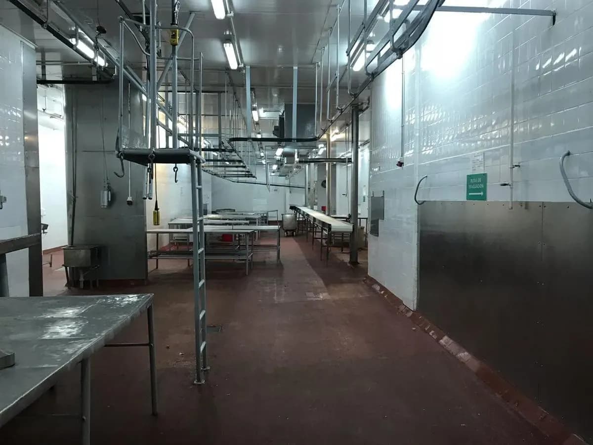 Espaço Comercial para Aluguel em Santa Rosa, Assunção - Image 14