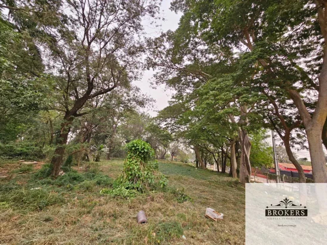 7,136m² Land for Rent in Ypatí, Villa Elisa - Image 5