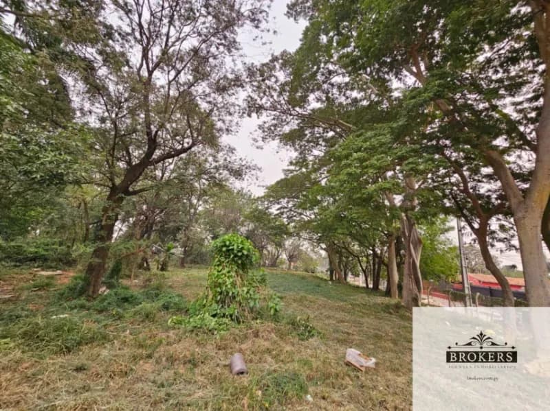 7,136m² Land for Rent in Ypatí, Villa Elisa - Image 5