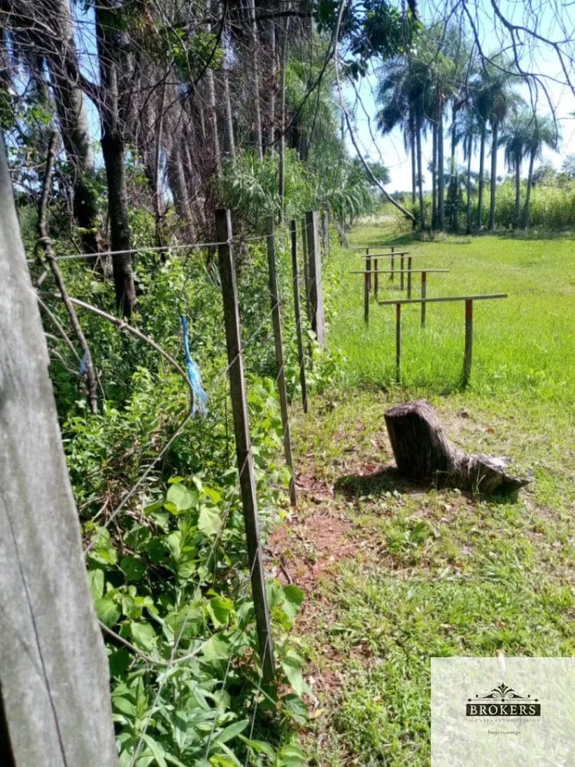 100,000m² Land for Sale in Ypacaraí - Image 12