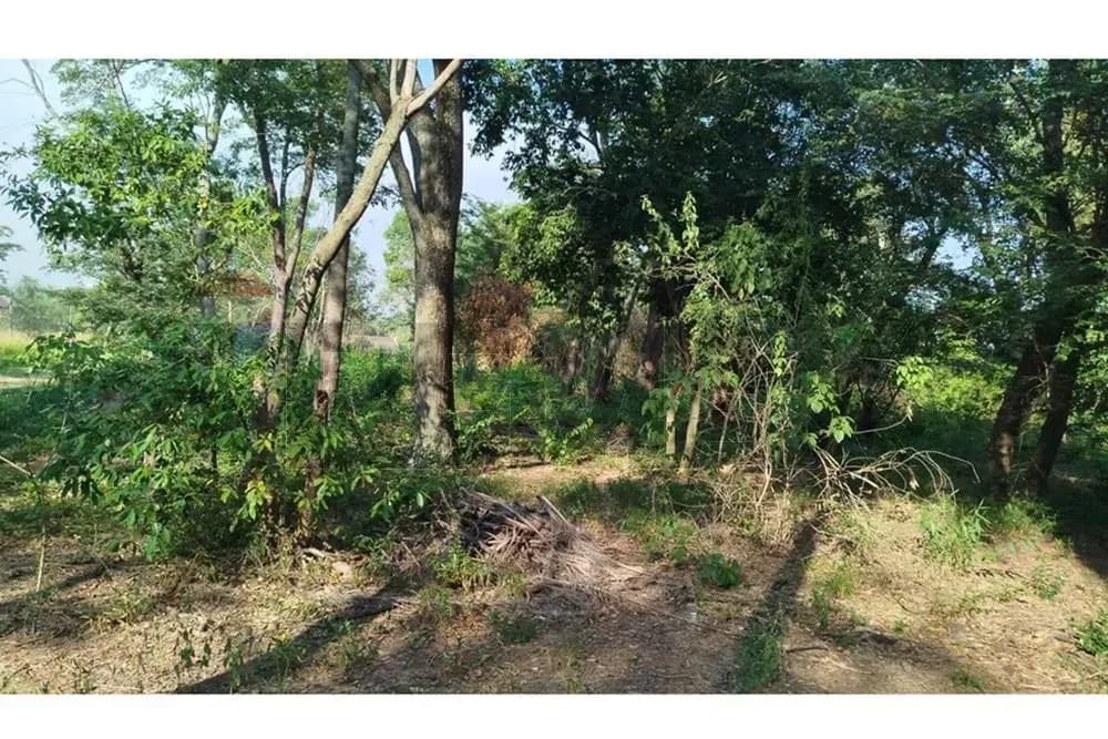 Terreno de 1,334m² en Venta en Estanzuela, Areguá - Image 9