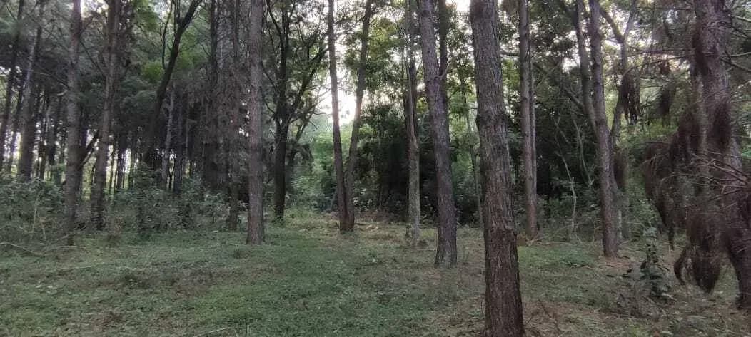 Terreno de 5.73m² à Venda em Ciudad de Arroyo Pora-Sub Urbano - Image 13