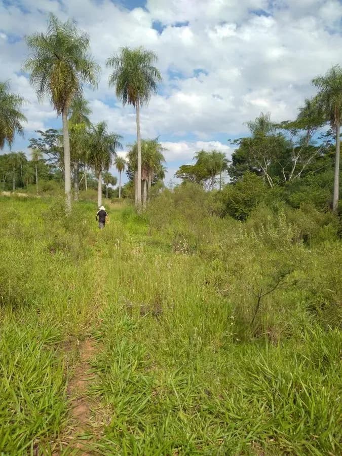 Terreno de 1,997m² en Venta en Ypacaraí - Image 14