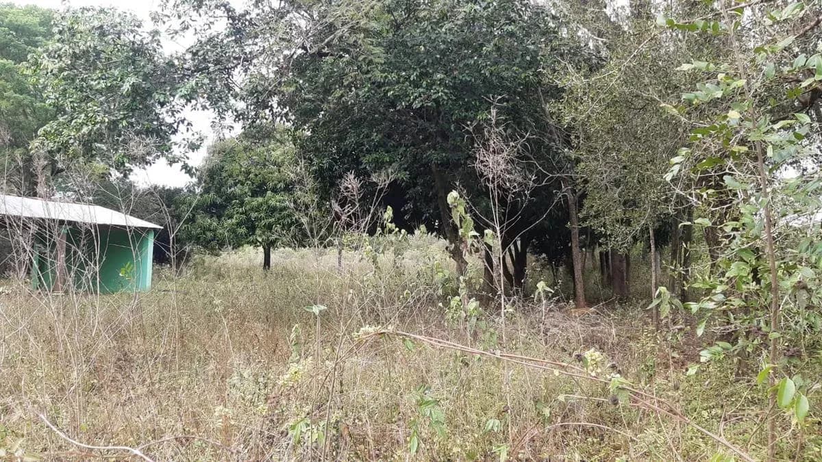 22,697m² Land for Sale in Nueva Italia - Image 2