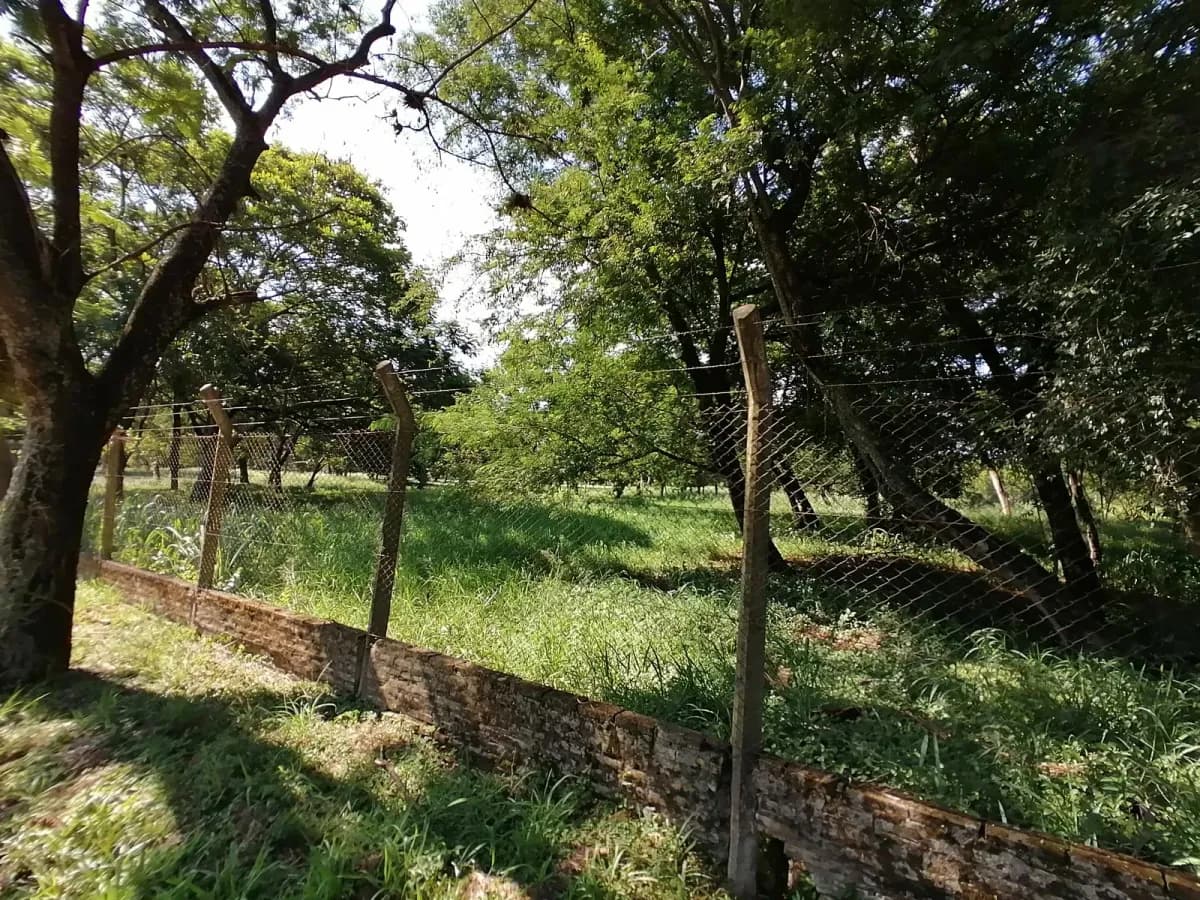 Terreno de 65m² à Venda em Loma Pytá, Assunção - Image 16