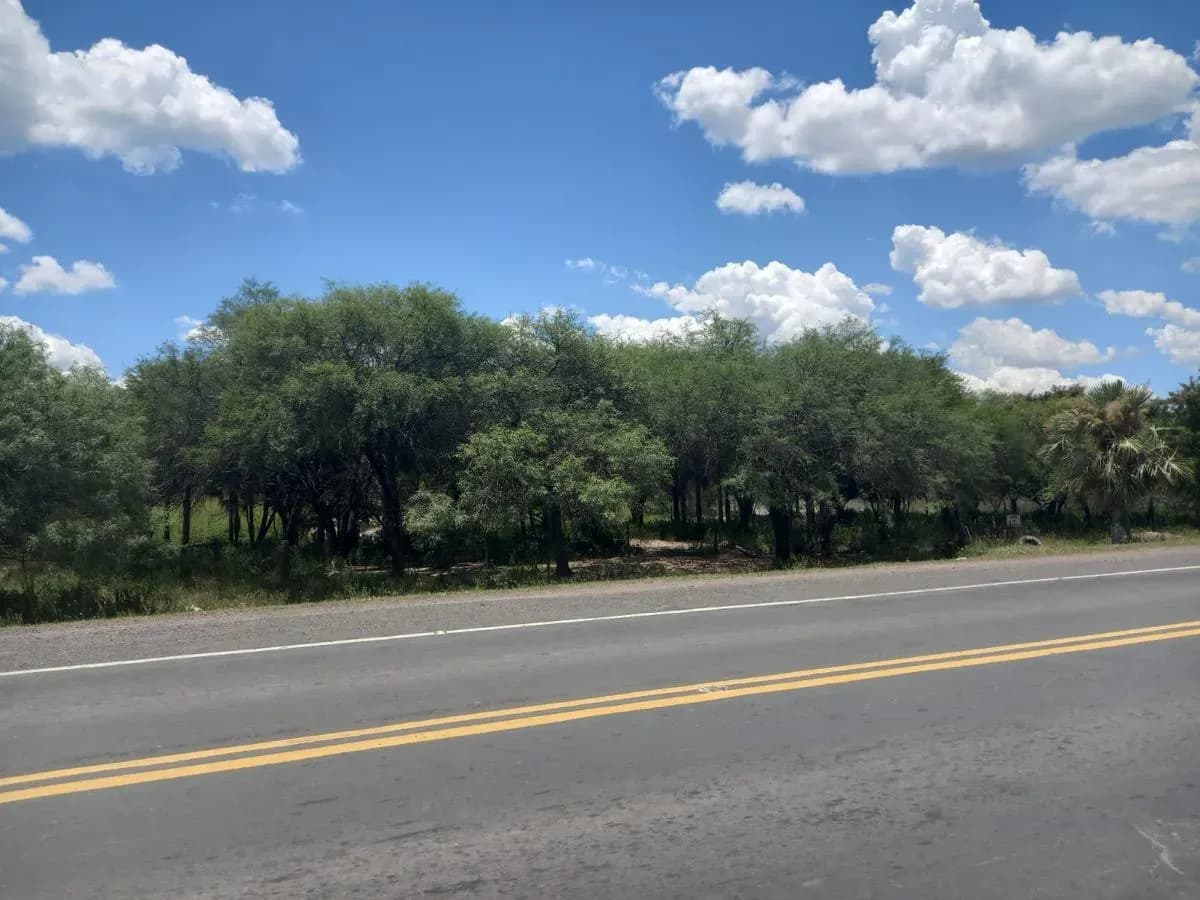 Land for Sale in José Falcón