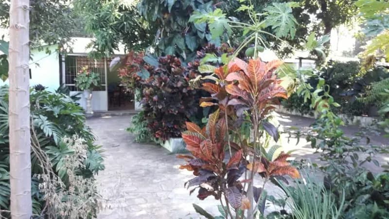 3-Bedroom House for Sale in Areguá - Image 2