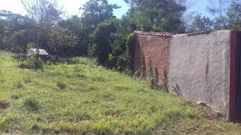 Land for Sale in San Lorenzo - Image 5