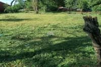 Terreno de 911m² en Venta en Luque - Image 3