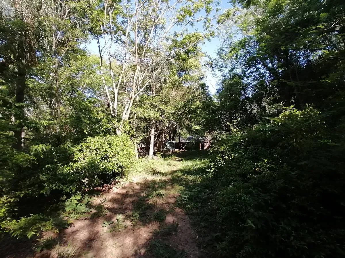 Land for Sale in Caacupé - Image 5