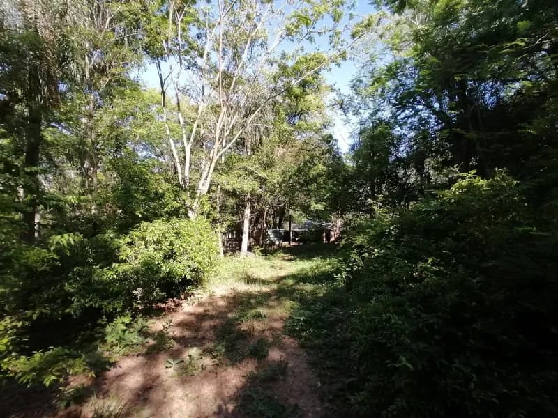 Land for Sale in Caacupé - Image 5