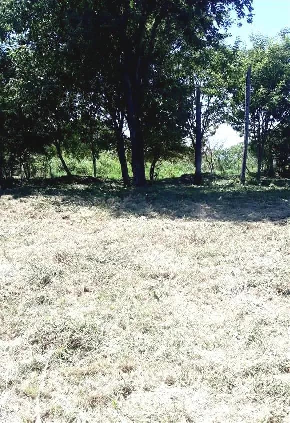 Terreno de 720m² en Venta en Limpio - Image 11