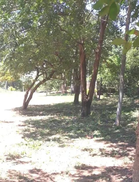 Terreno de 720m² en Venta en Limpio - Image 9