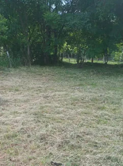 Terreno de 720m² en Venta en Limpio - Image 4