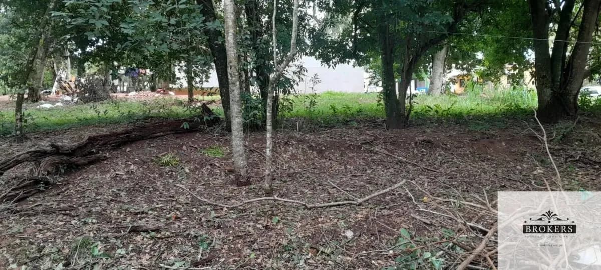 1,600m² Land for Sale in Villa Ygatimí, Villa Ygatimí - Image 13