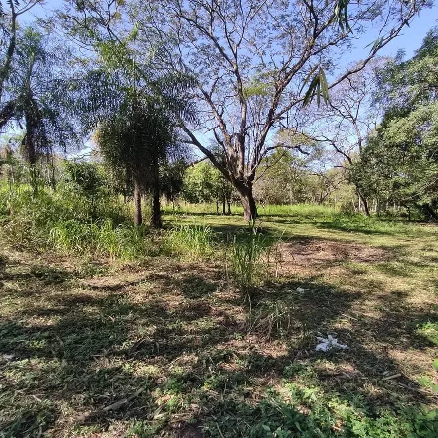 Land for Sale in Ypané - Image 2