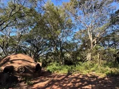 Terreno de 701.76m² en Venta en San Miguel, Areguá - Image 4