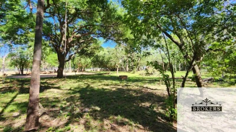 Terreno de 3,000m² en Venta en San Bernardino - Image 5