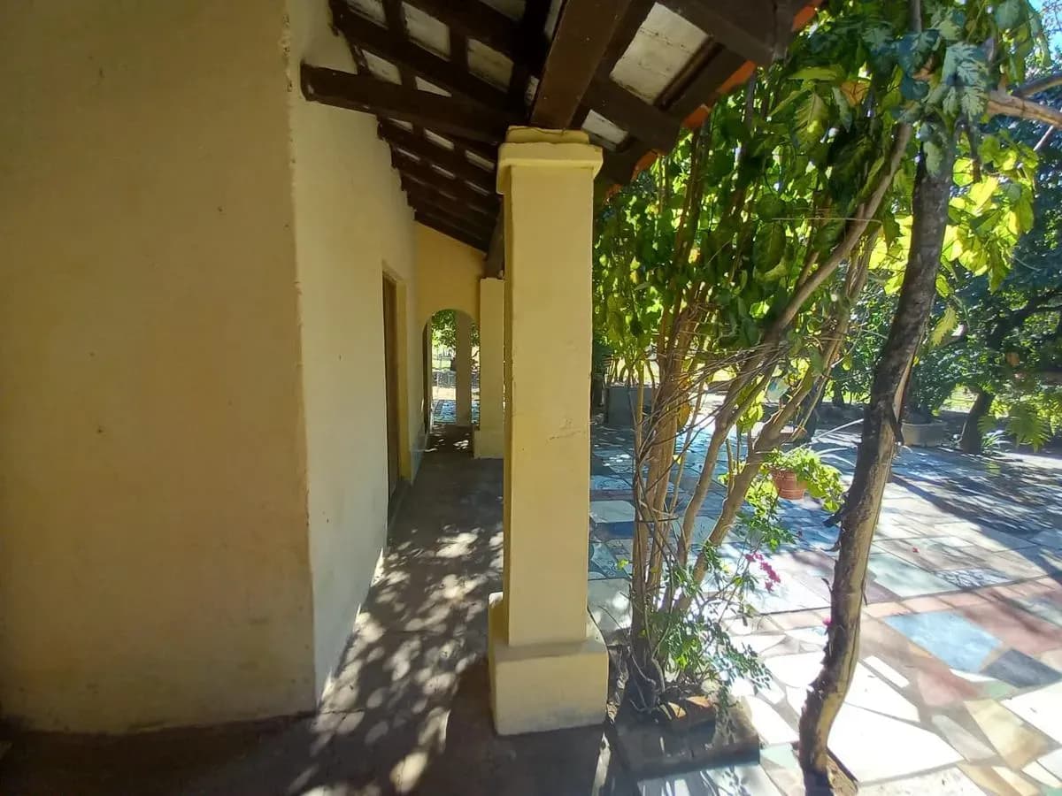Land for Sale in Nueva Italia - Image 11