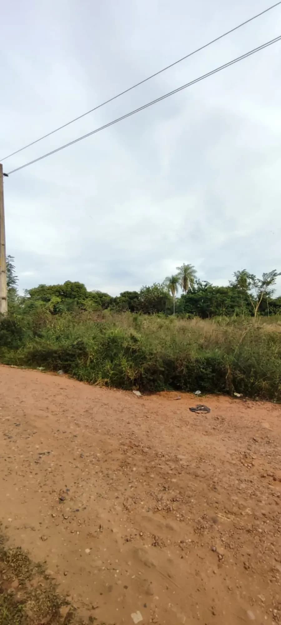Terreno de 1,542m² en Venta en Limpio - Image 8