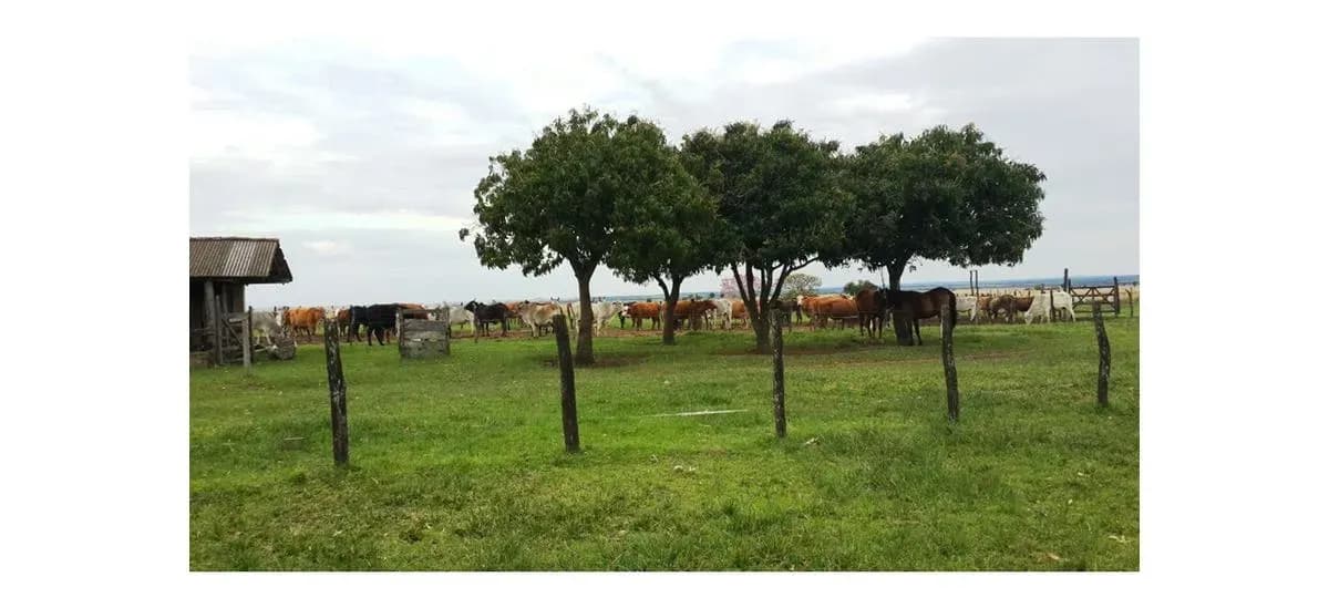 Land for Sale in Nueva Italia - Image 16