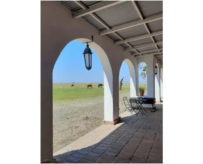 Terreno de 1,383m² en Venta en Los Pocitos - Image 4