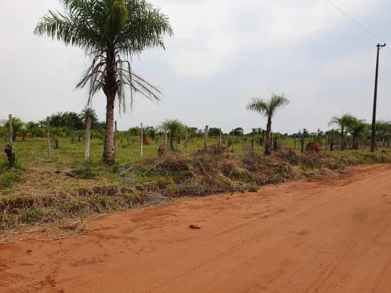 Terreno de 128,081m² en Venta en Limpio - Image 5