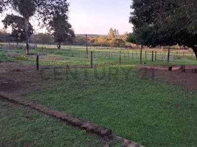 Terreno de 56,000m² en Venta en San Bernardino - Image 5