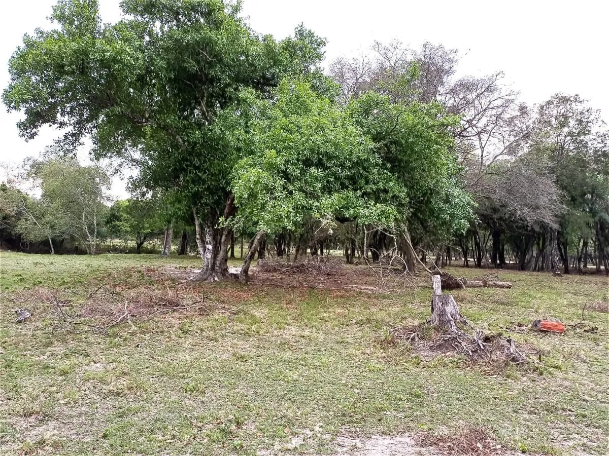 Terreno en Venta en Nanawa - Image 9