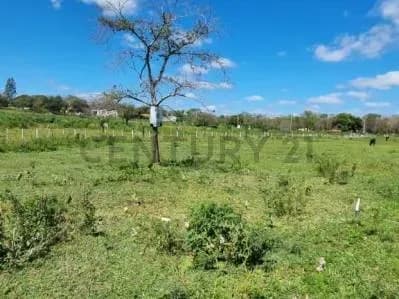 Terreno de 370.72m² en Venta en Itauguá - Image 3