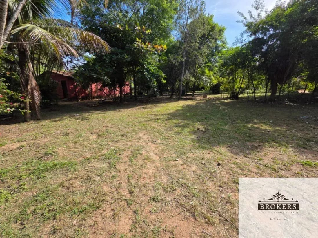 Terreno de 3,200m² en Venta en Limpio - Image 4