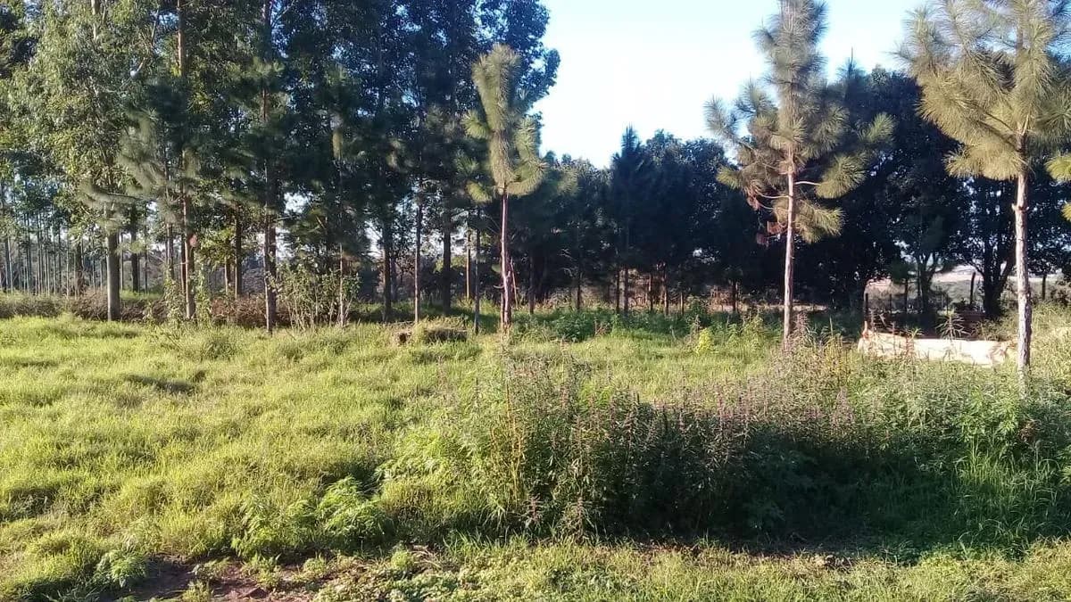 Terreno de 17m² à Venda em Arquitecto Tomás Romero Pereira - Image 12
